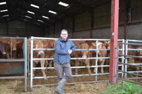 SNP MP Commends Scottish Ministers Move to Update Livestock Protection Laws